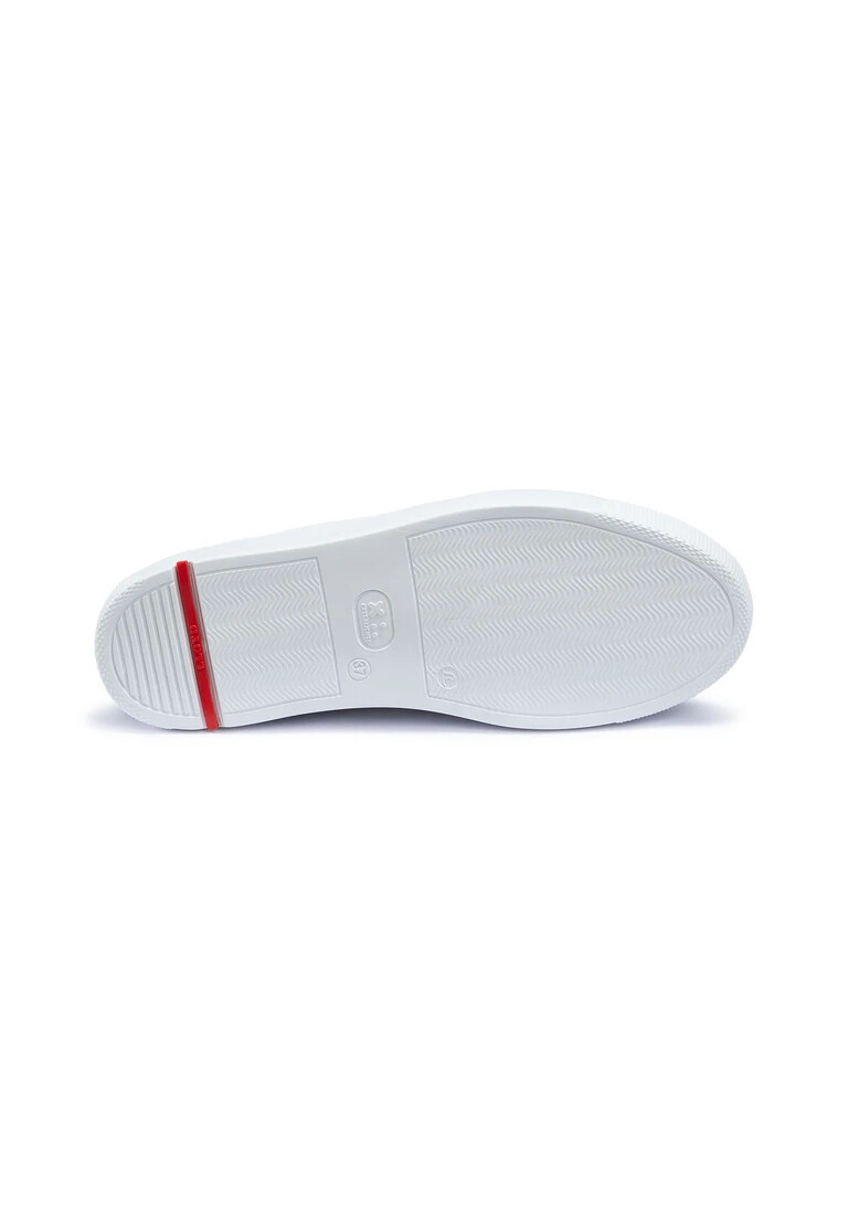 zapatilla