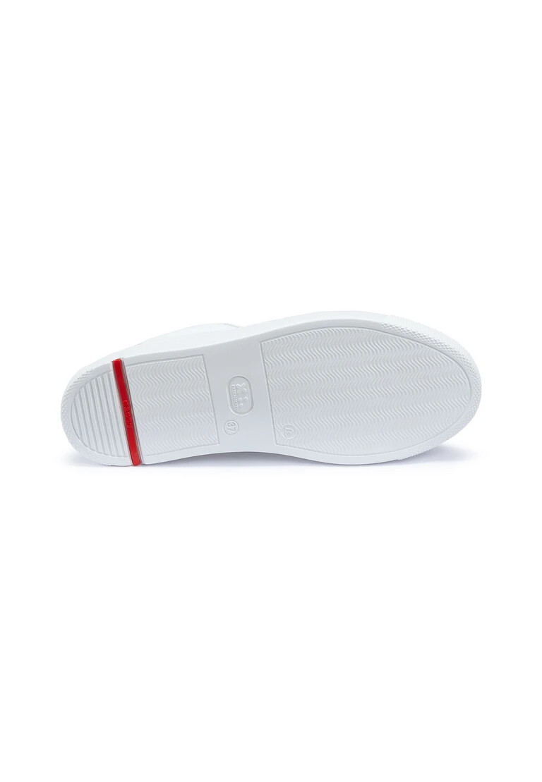 zapatilla