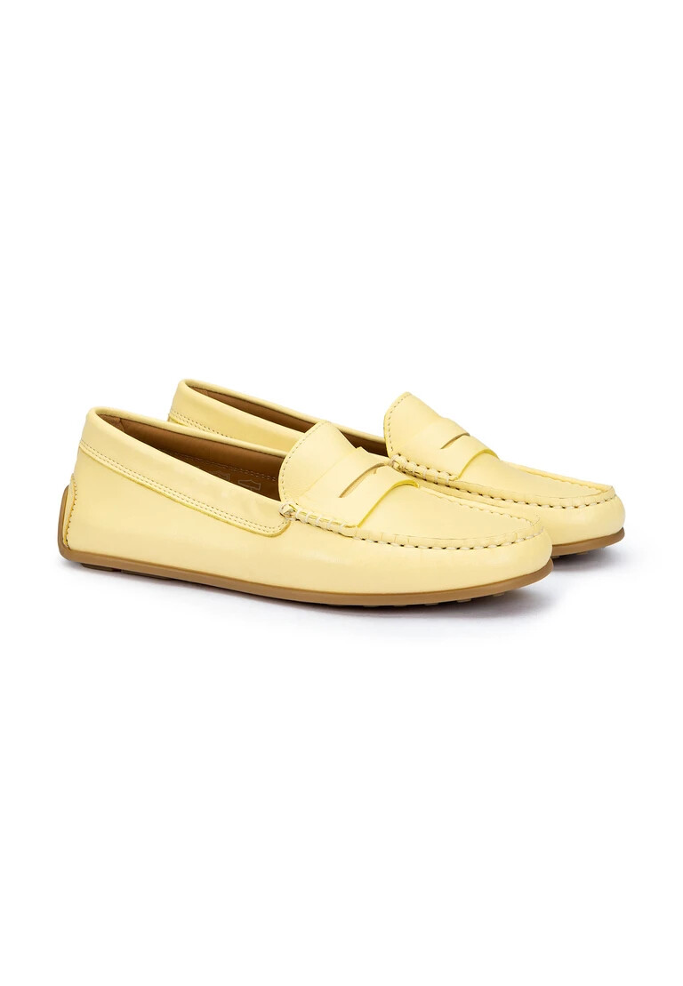 zapatilla