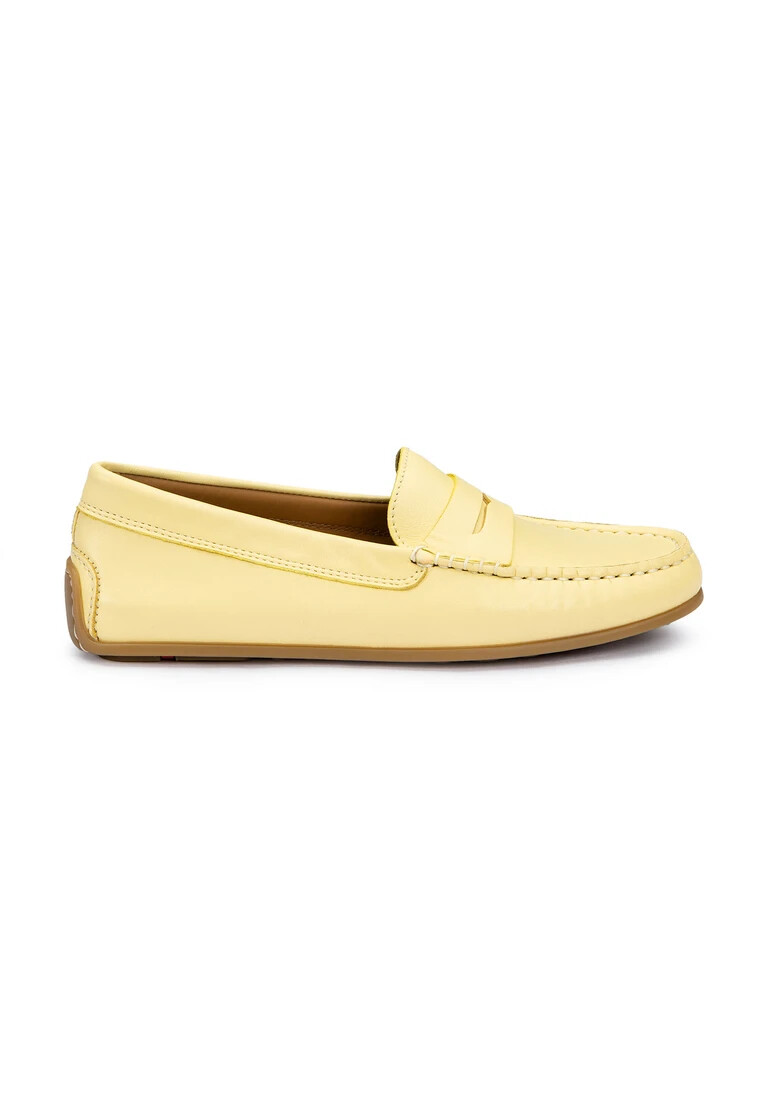 zapatilla