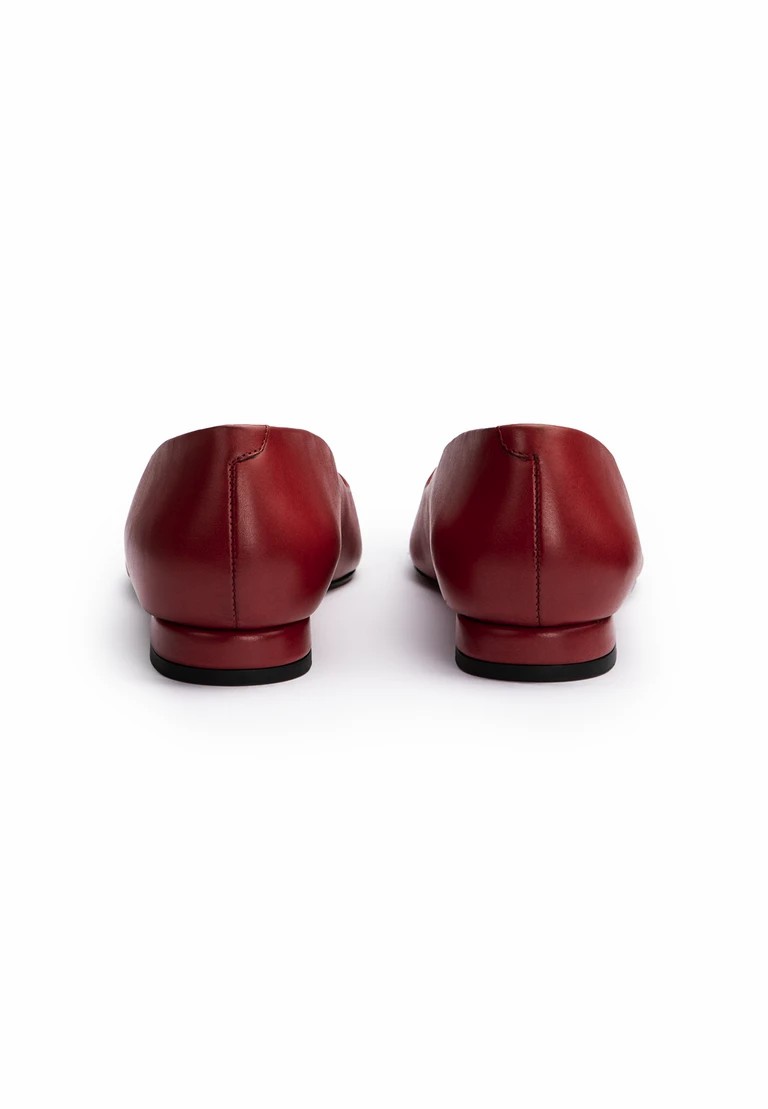 hiedra