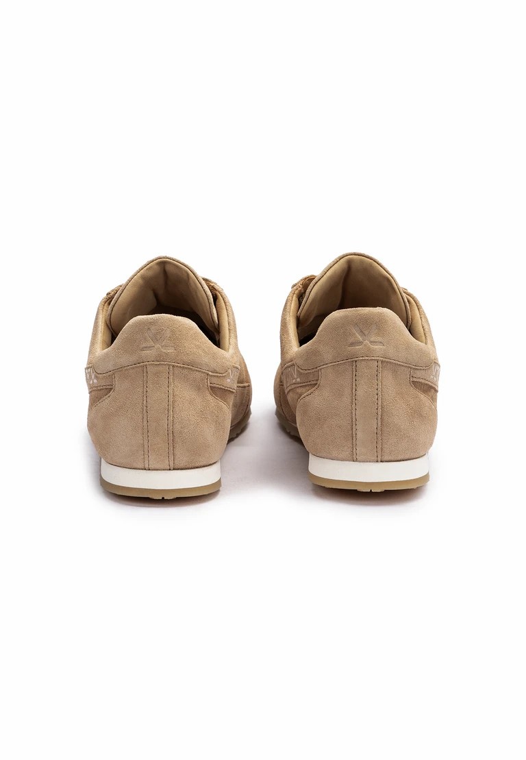 velocidad
