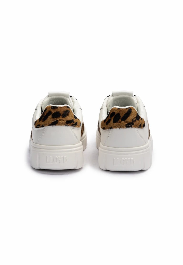 camino de toro
